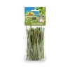 Bastoncini di Finocchio Jr Farm 15gr mangime complementare